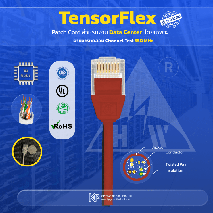Hosiwell เปิดตัว “TensorFlex” -- สายPath Cord CAT6A สำหรับ Data Center ...