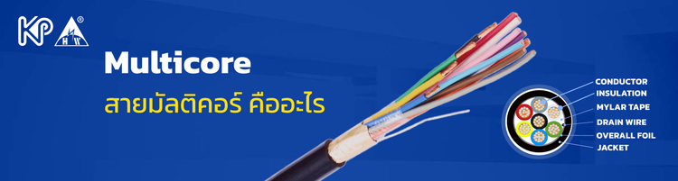 สายมัลติคอร์ คืออะไร